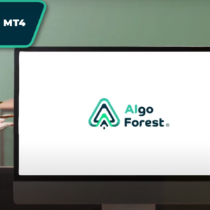 How to install MT4
