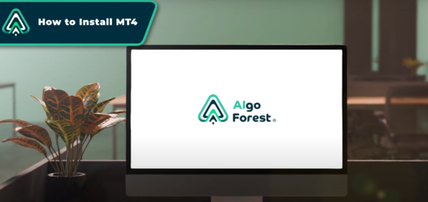 How to install MT4